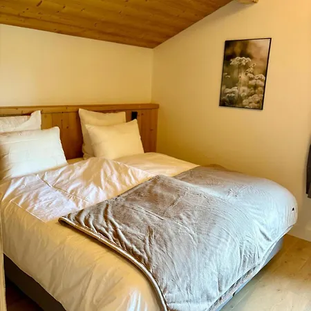 Le Cerf N, Bain Nordique, Vue Montagne, 8p Chalet