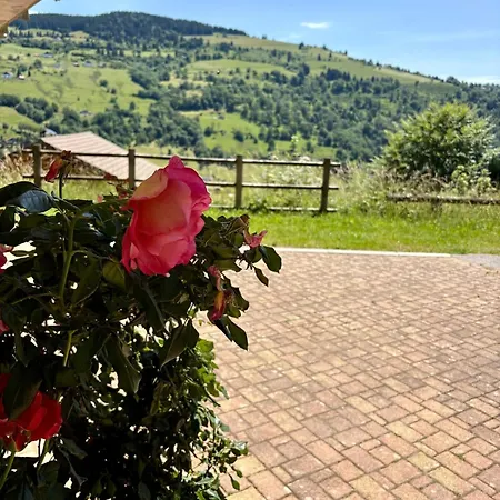 Chalet Le Cerf N, Bain Nordique, Vue Montagne, 8p *